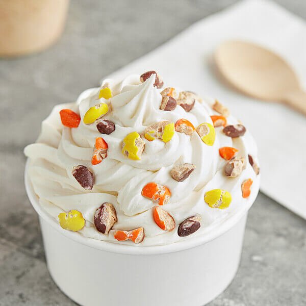 REESE'S PIECES Chopped Ice Cream Topping - 4.54kg/10lbs - Best before food