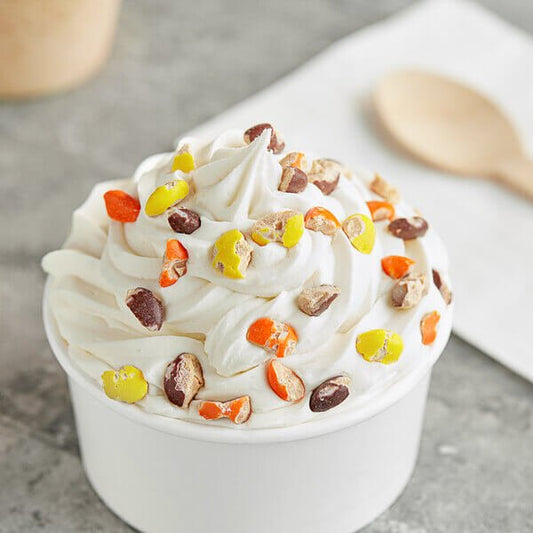 REESE'S PIECES Chopped Ice Cream Topping - 4.54kg/10lbs - Best before food